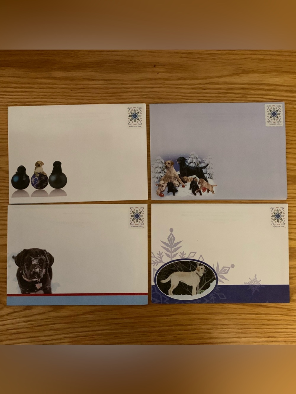 Dog Christmas Cards (7) w/postage
